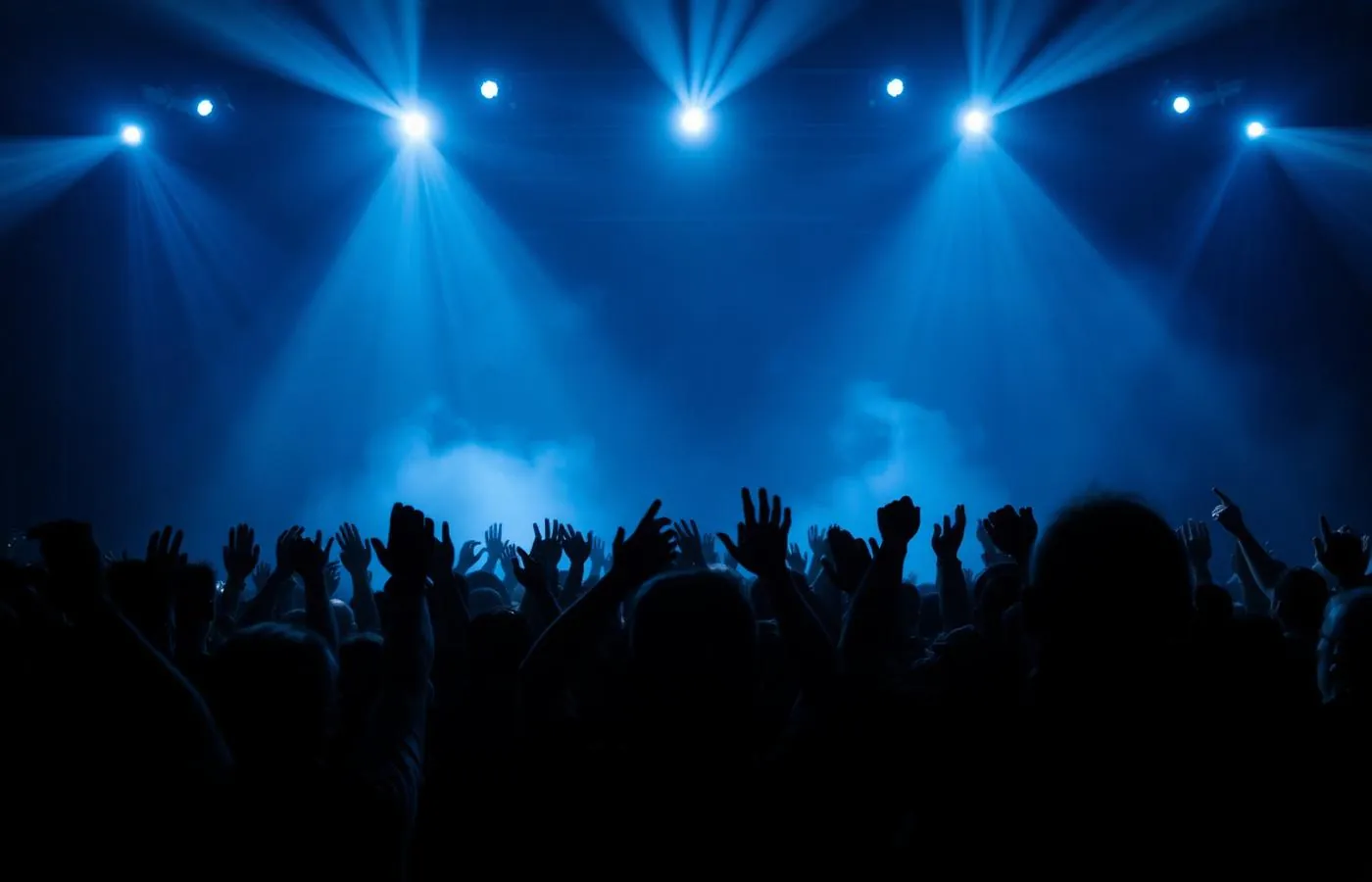 Audience during a live show